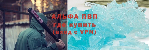 шишки Каменногорск
