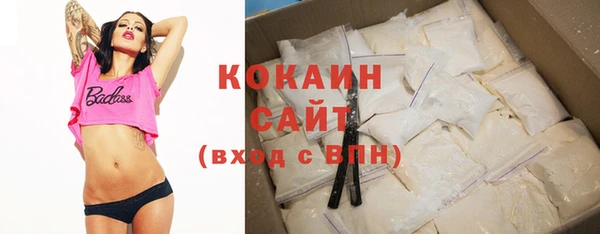 шишки Каменногорск