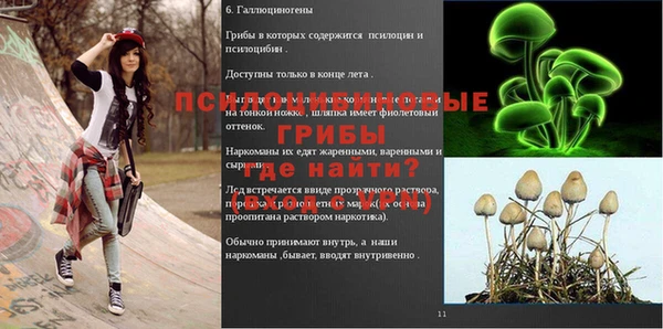 мет Каменск-Шахтинский