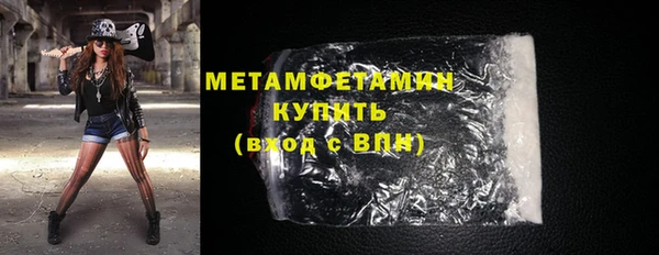 шишки Каменногорск