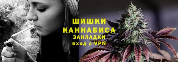 шишки Каменногорск