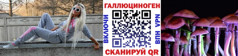 Купить где  Зуевка  Псилоцибиновые грибы мицелий 